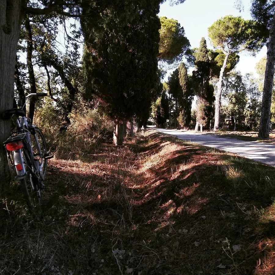 Agriturismo Poderedodici Orbetello Bauernhof