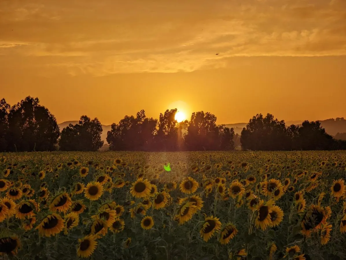 Agriturismo Poderedodici Orbetello Farm stay